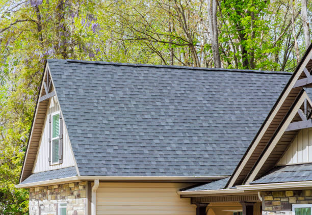 Best Roof Maintenance and Cleaning  in Wolf Lake, MI